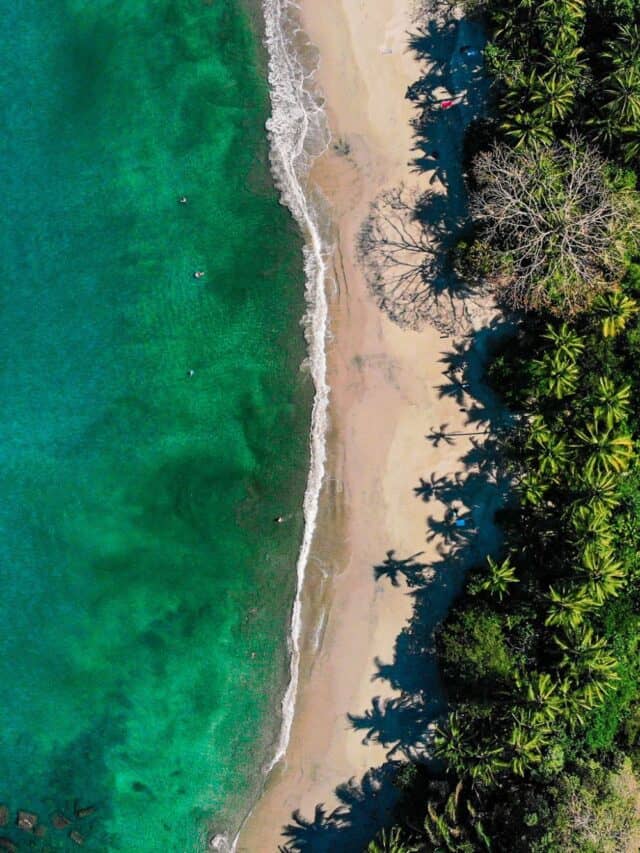 manuel antonio national park drone