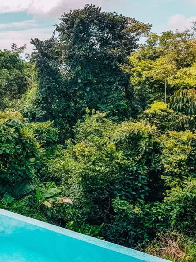 montezuma hotel