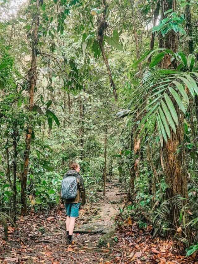 braulio carrillo national park