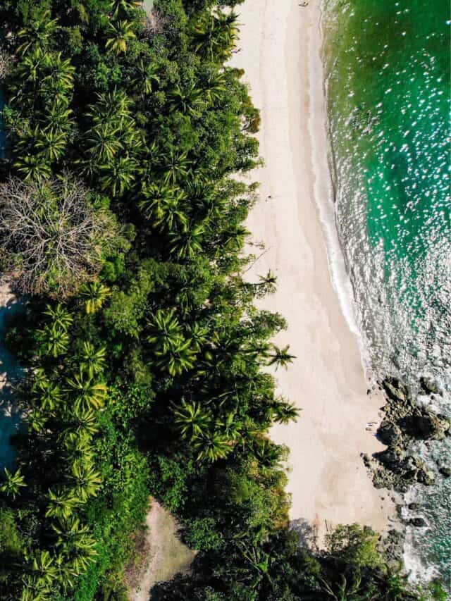 Is Manuel Antonio, Costa Rica Worth Visiting in 2024? Costa Rica Vibes