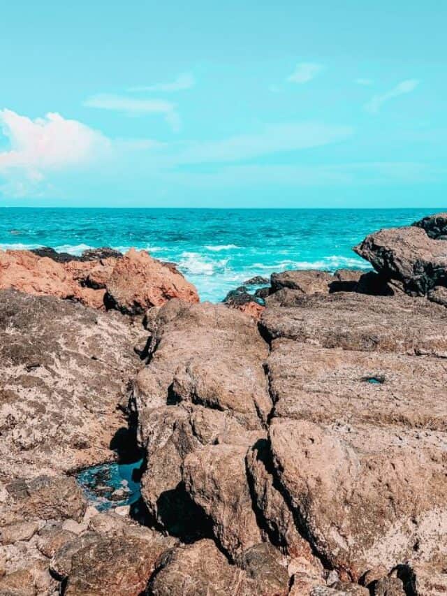 cabuya view