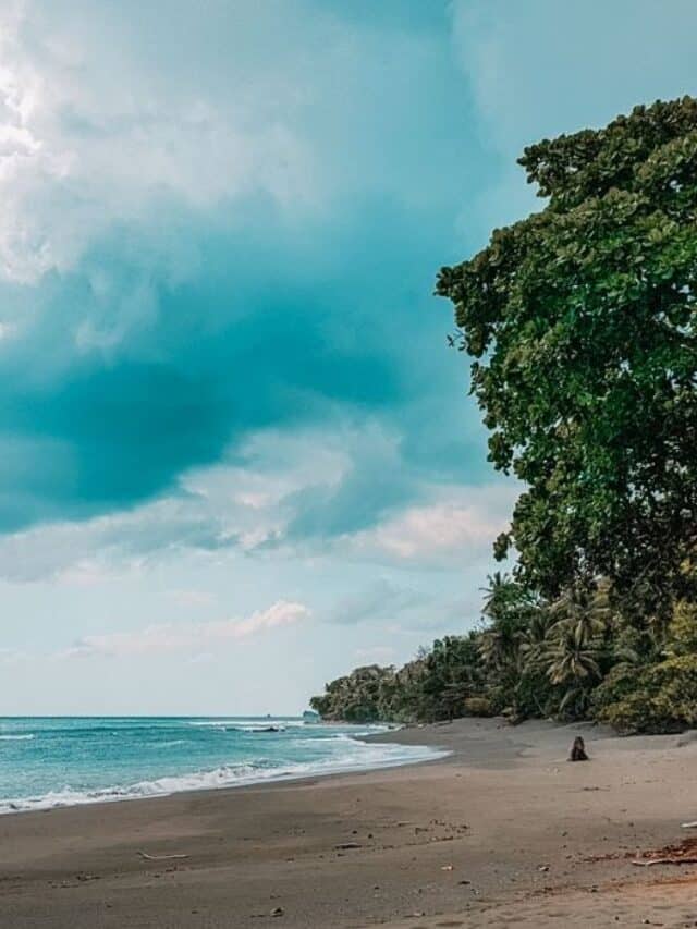 Costa Rica in December The Weather at this Time of Year Costa Rica Vibes