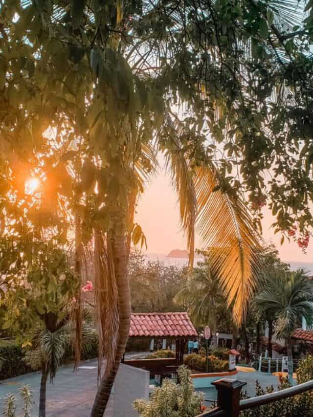 Costa Rica in February: The Weather at this Time of Year | Costa Rica Vibes