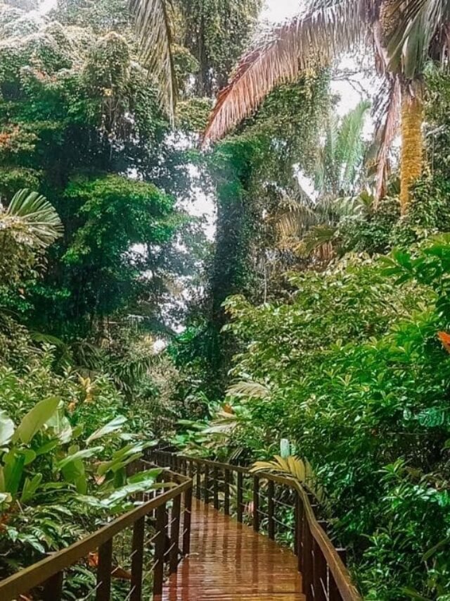 Cahuita National Park in Costa Rica