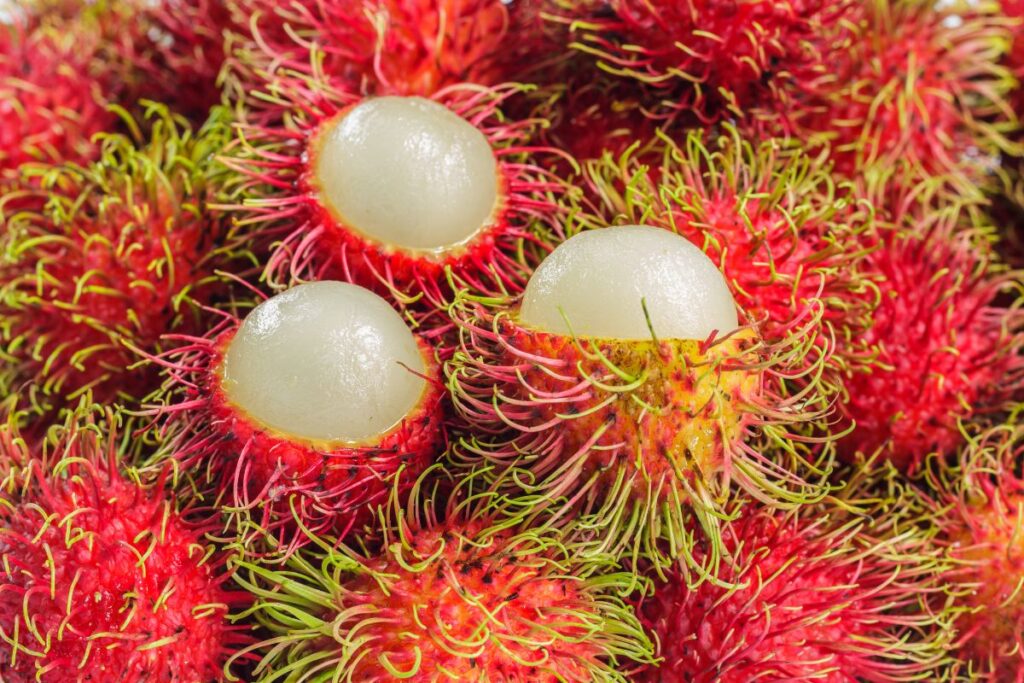 Rambután