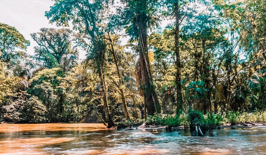 tortuguero national park