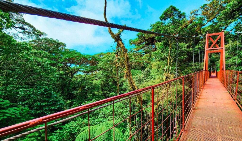 Monteverde Cloud Forest Reserve in Costa Rica: Plan Your Visit