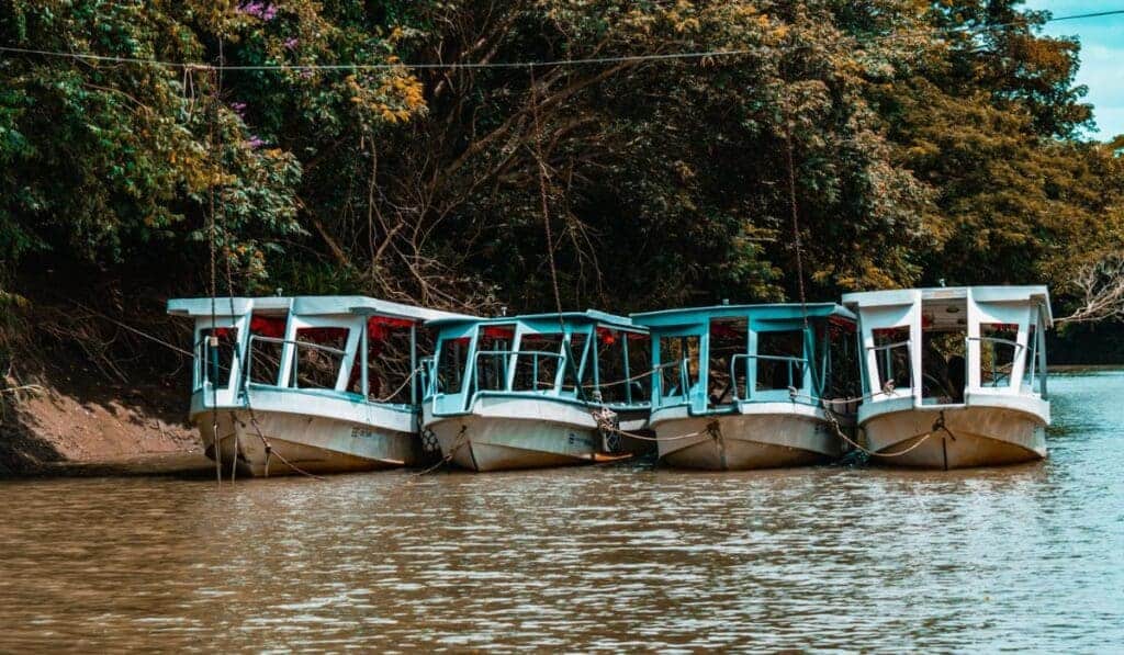 Four tour boats on the Tempisque River in Palo Verde National Park