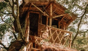 Costa Rica Tree Houses – 12 Places to Stay